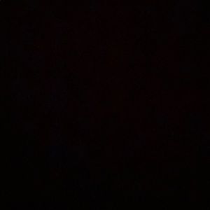 Meet your Posher, Dan